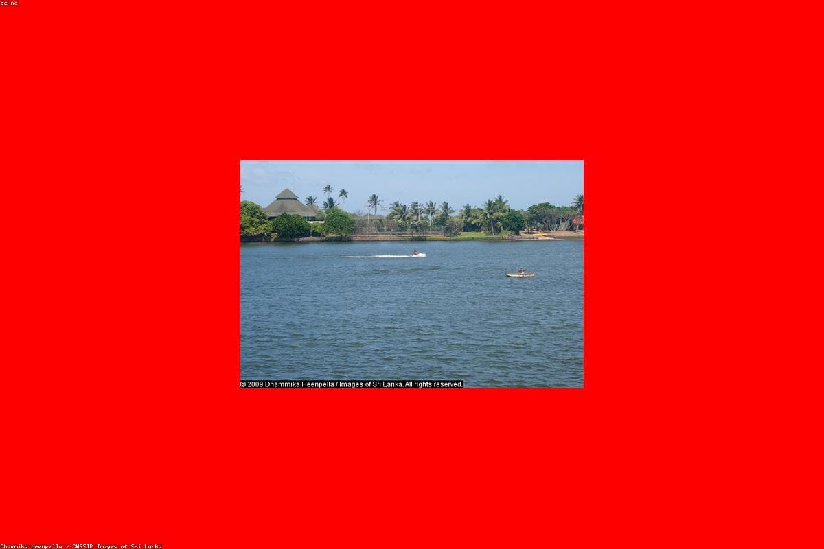 10 Reasons why Jetavanaramaya should be on your bucket list