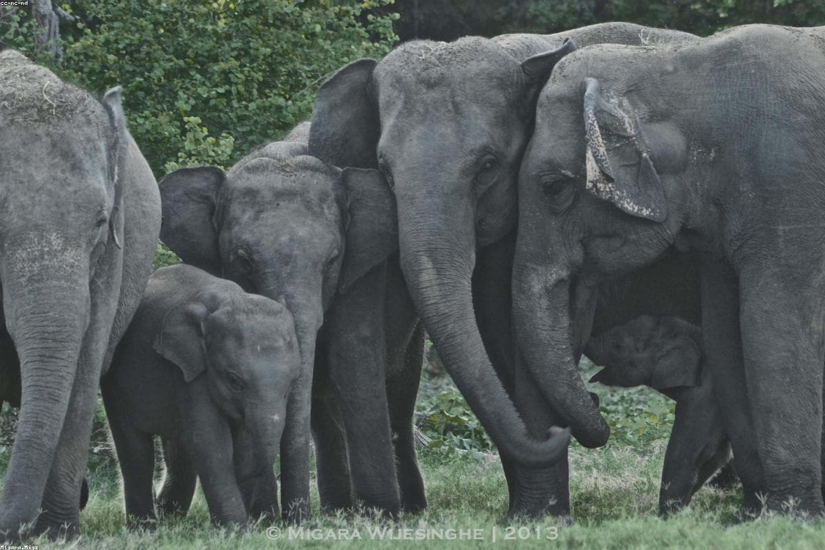 10 Reasons why Kadugannawa should be on your bucket list