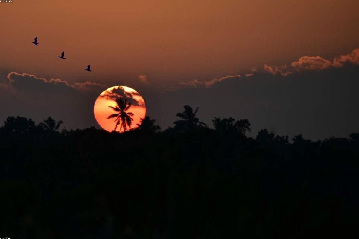 10 Reasons why Mirisawetiya Vihara should be on your bucket list