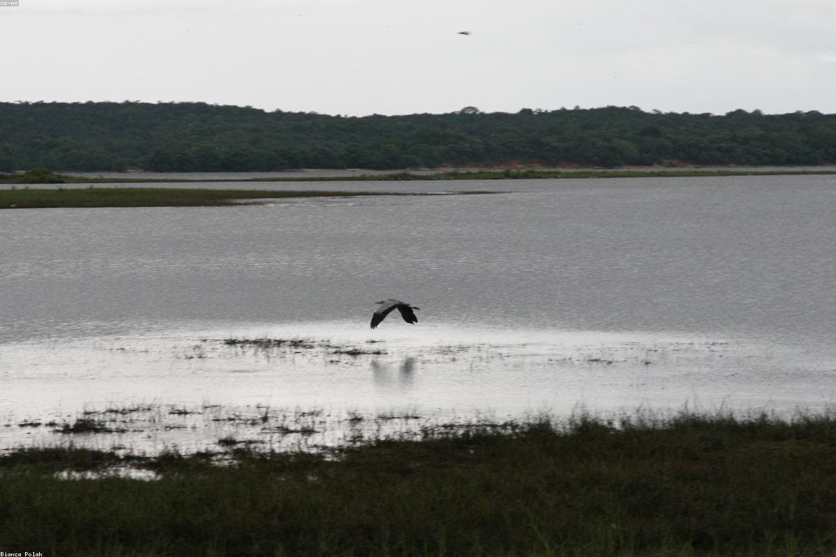 10 Reasons why Randenigala Dam should be on your bucket list