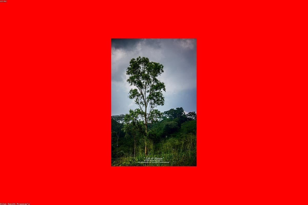 10 Reasons why Tangalle Beach should be on your bucket list