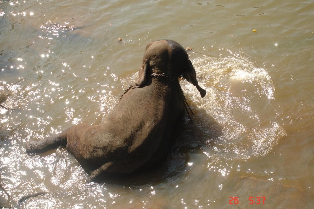Взгляд фотографа: запечатлеть красоту Дедуру Оя