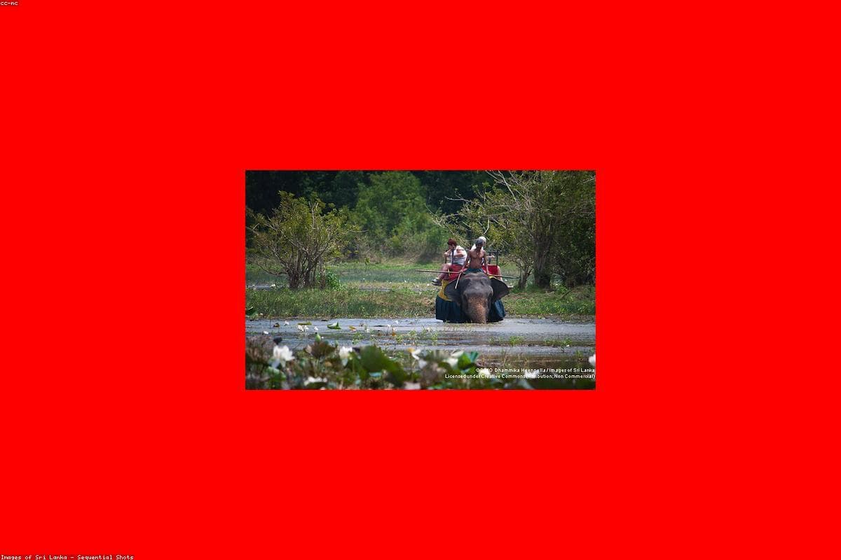 A photographer's perspective: Capturing the beauty of Kande Viharaya