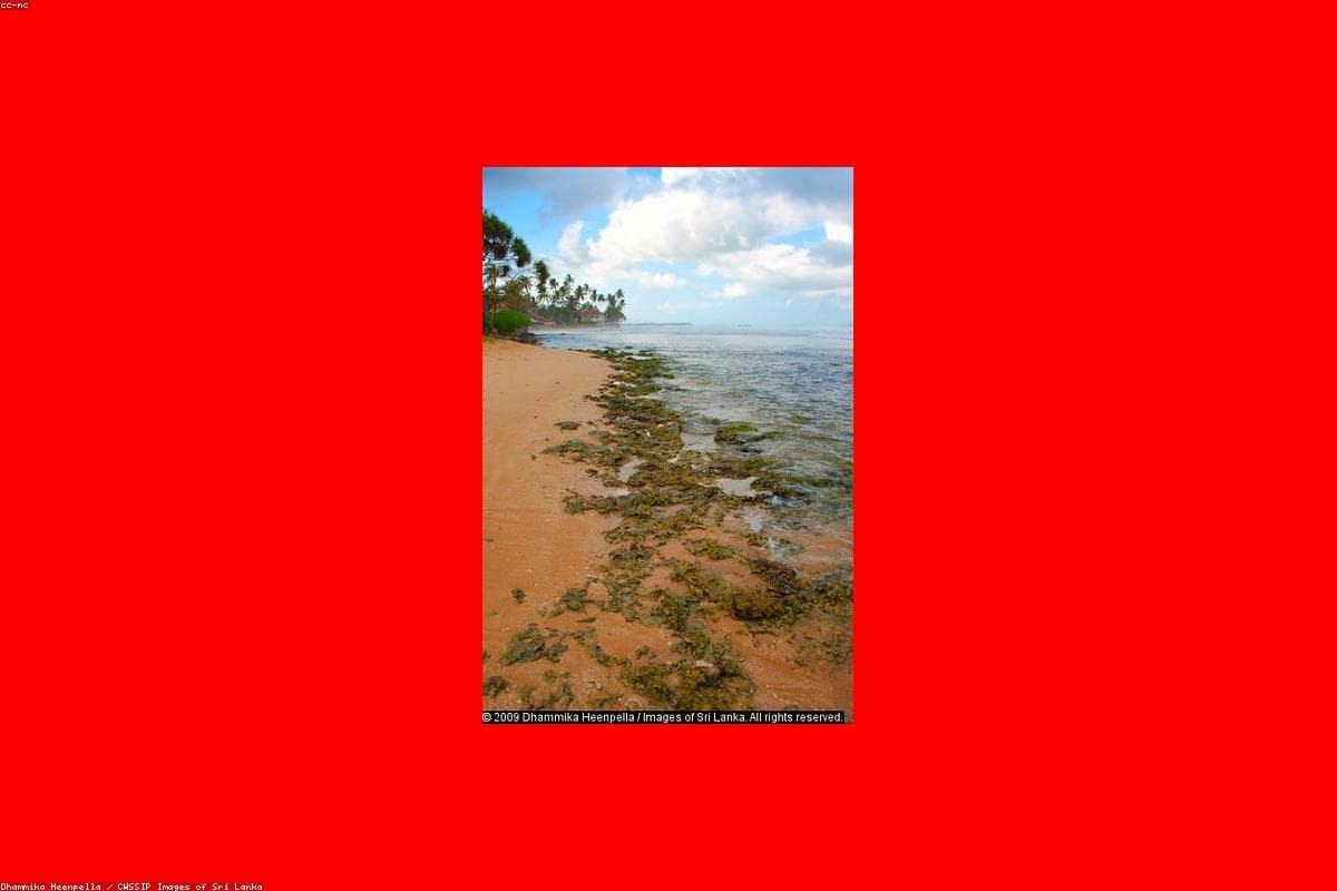 Exploring the hidden gems of Galle Fort