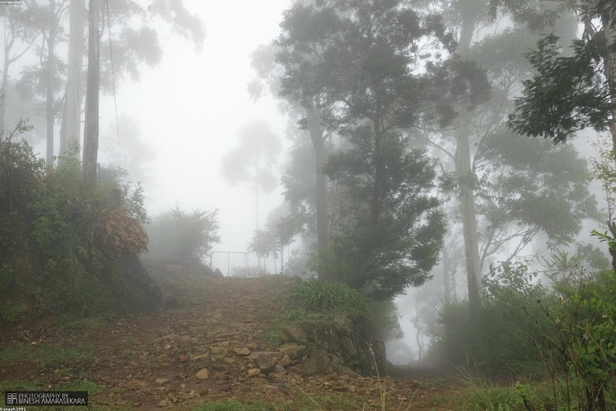 Exploring the hidden gems of Muthiyangana Raja Maha Vihara