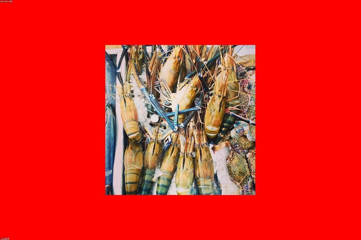 Exploring the hidden gems of Trincomalee