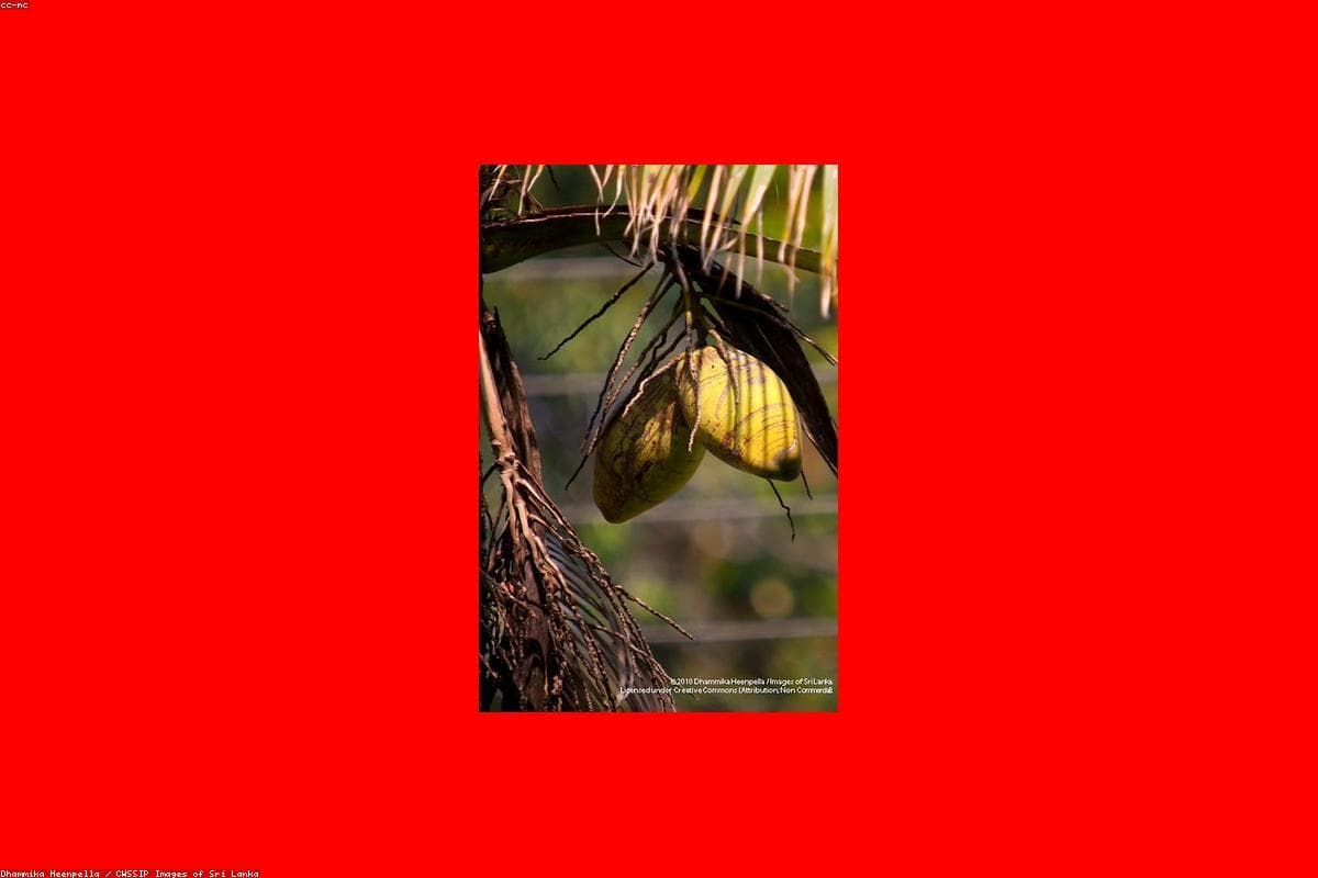 Как провести идеальные выходные в мечети Кечималай