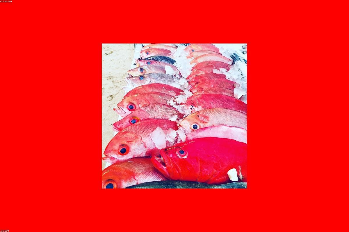 How to spend a perfect weekend in Senanayake Samudra