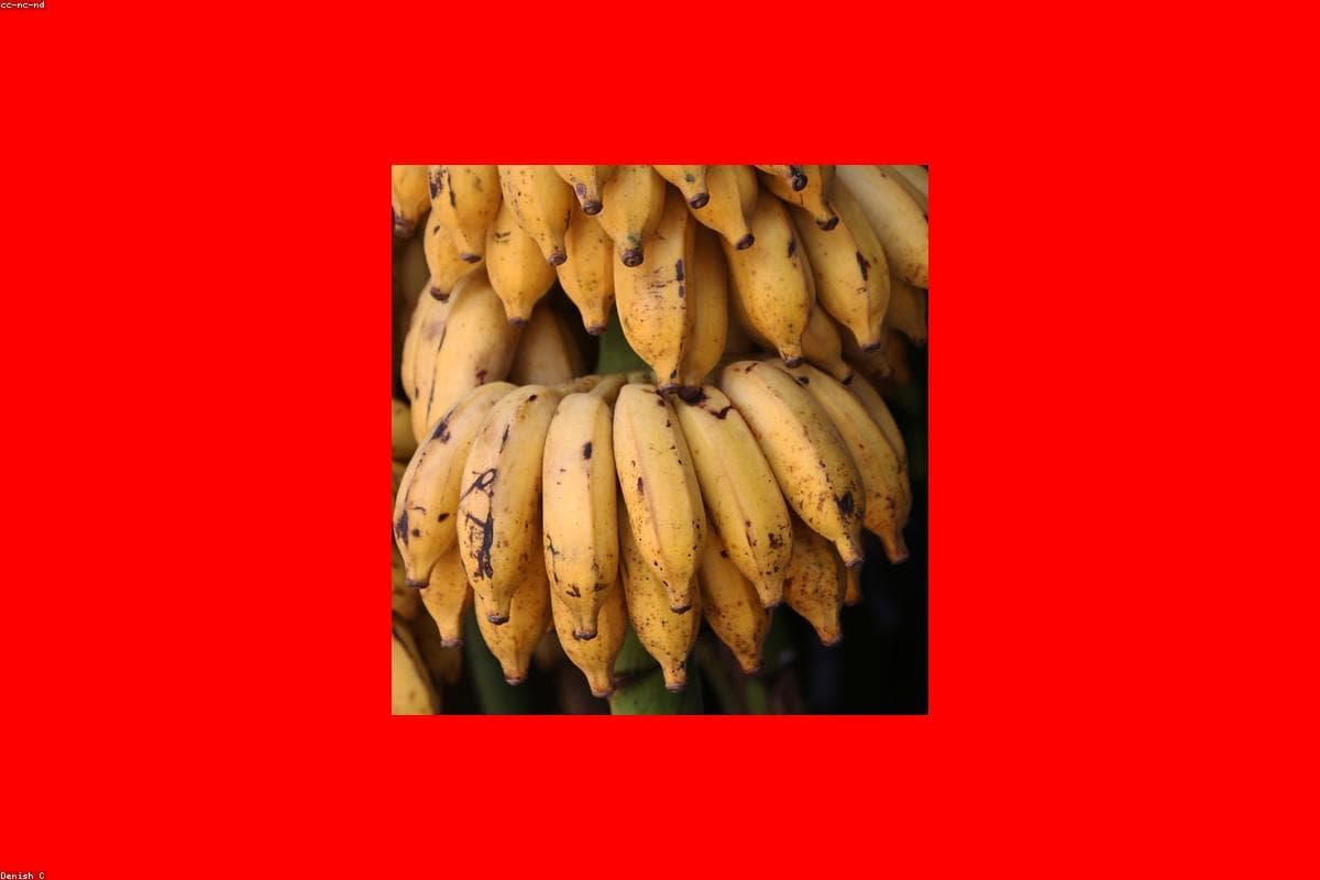 Придаем остроту: руководство для начинающих по кухне Шри-Ланки