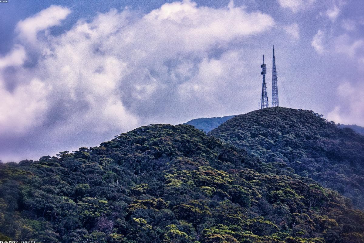Раскрыты самые сокровенные тайны национального парка Чундикулам