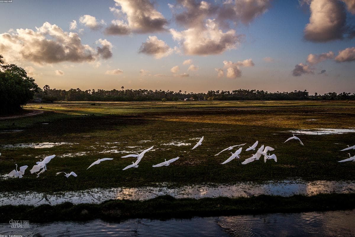 Полный путеводитель по приключениям в Мутиянгана Раджа Маха Вихара