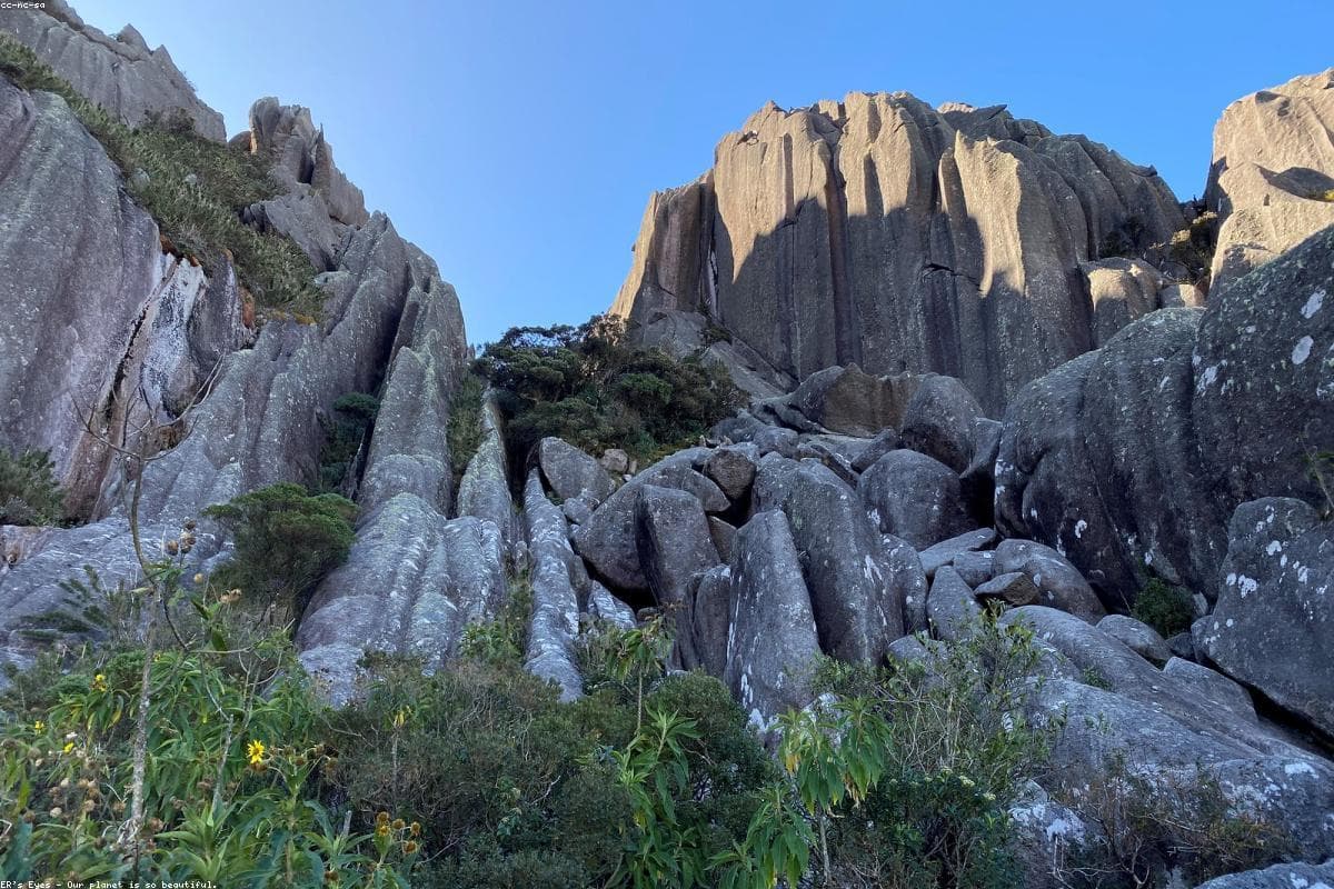 The ultimate guide to Budget in Totapolakanda