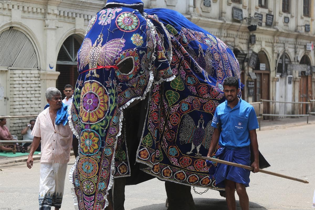 Полный путеводитель по роскоши в форте Балана