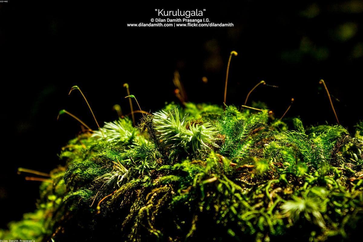 The ultimate guide to Photography in Richmond Castle