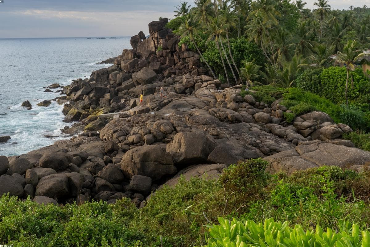 Топ-10 вещей, которые стоит сделать на пляже Нилавели в этом году