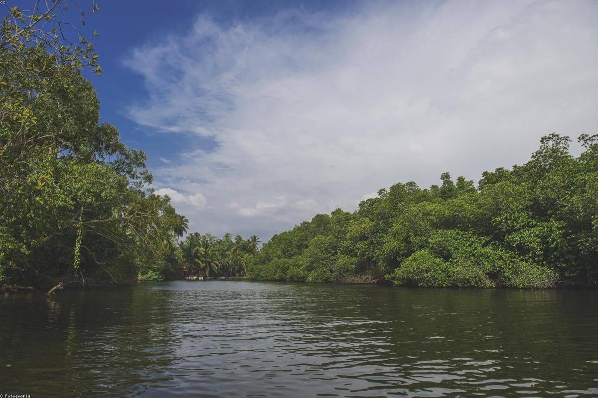 Top 9 things to do in Maha Oya Hot Springs this year