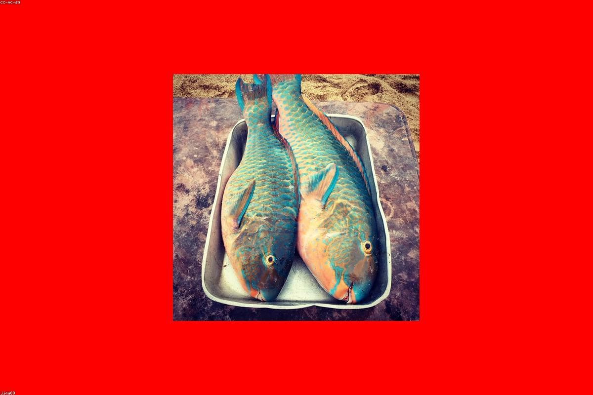 Unforgettable memories: My journey through Colombo