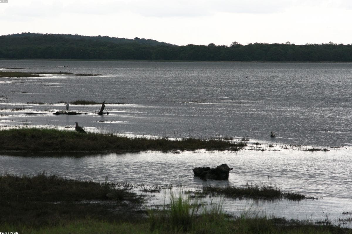 Unforgettable memories: My journey through Kantale Wewa