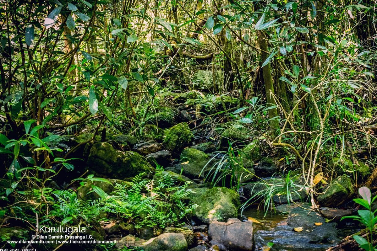 Unforgettable memories: My journey through St. Clair's Falls