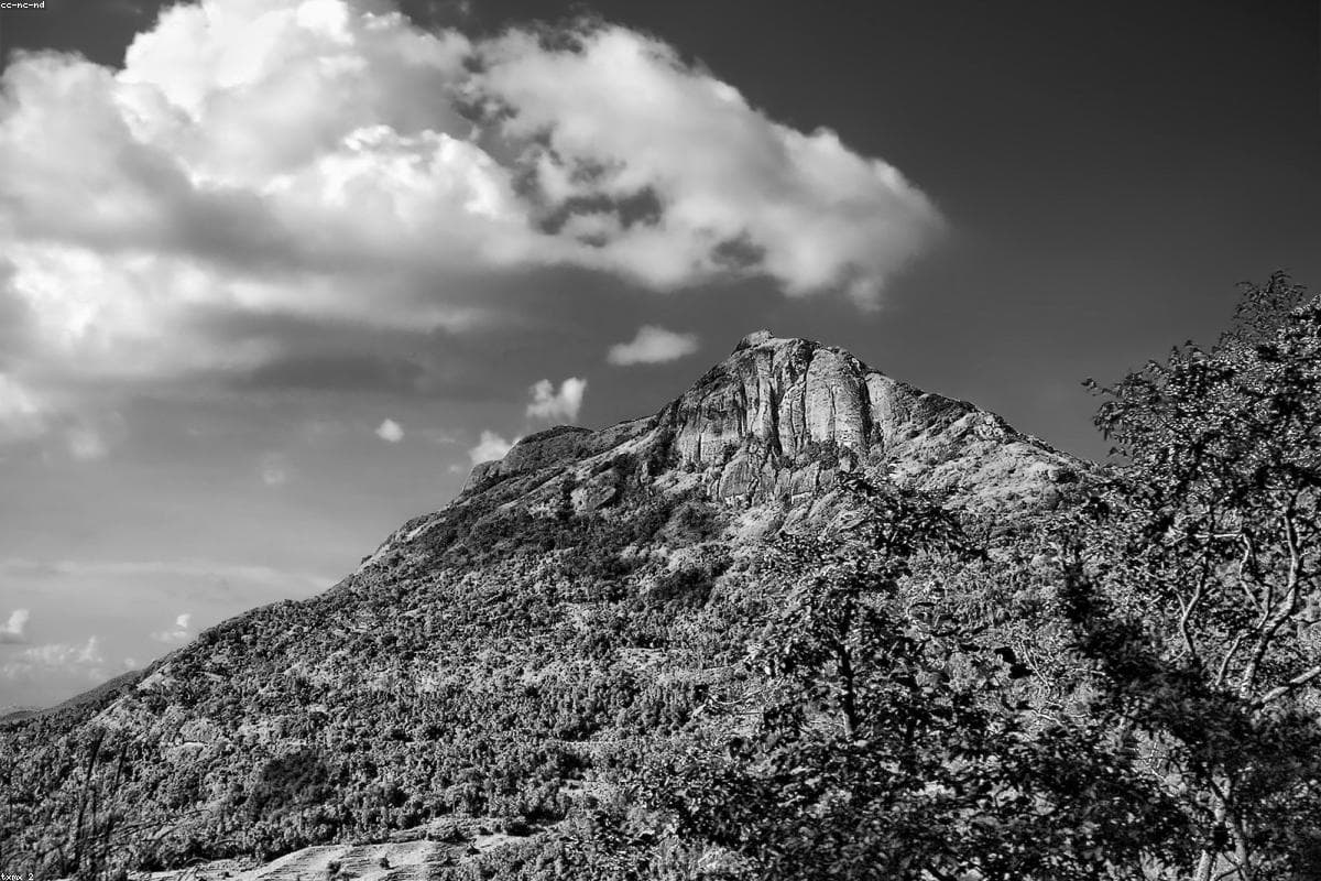 Where to find the best Budget in Bentota