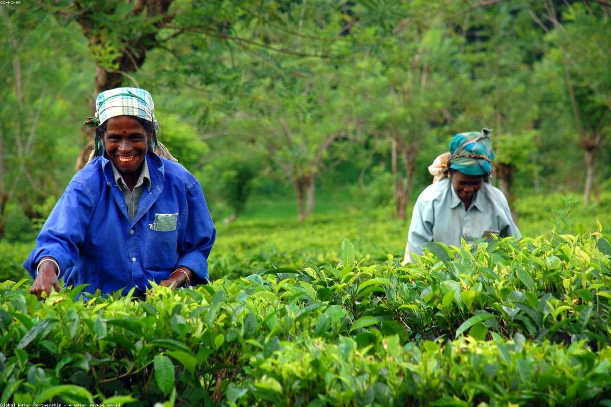 Where to find the best Culture in Ella Rock