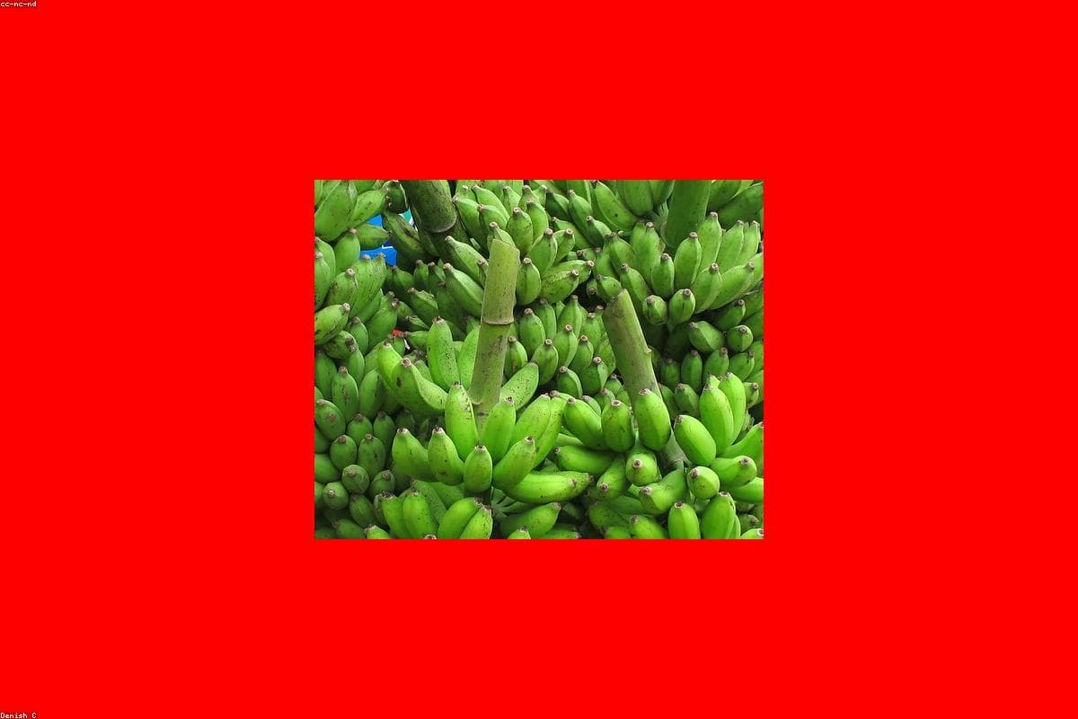 Where to find the best Food in Abhayagiri Vihāra