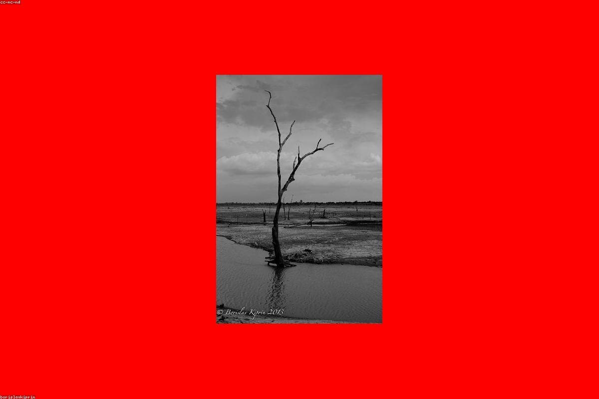 Where to find the best Photography in Bellanwila Park