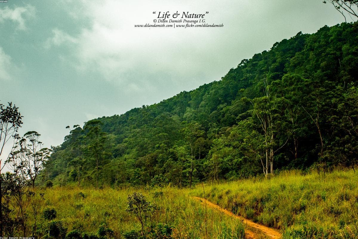 Why Dutch Hospital Shopping Precinct is the perfect Photography getaway