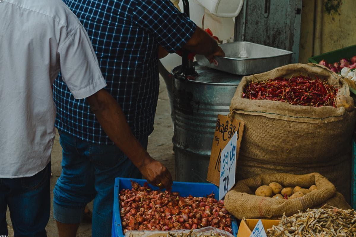 Почему Нану Оя — идеальный бюджетный вариант отдыха