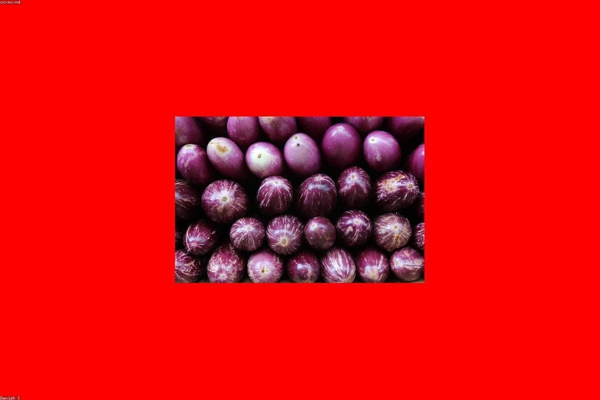 Why Talalla Beach is the perfect Food getaway