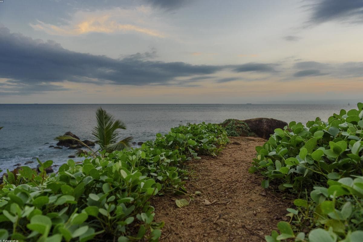 Why Udawalawe National Park is the perfect Beaches getaway