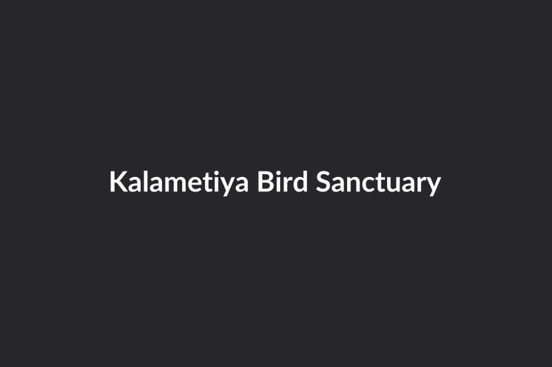 Kalametiya Bird Sanctuary