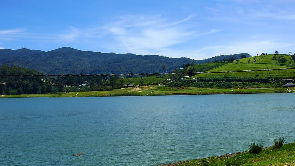 Gregory Lake