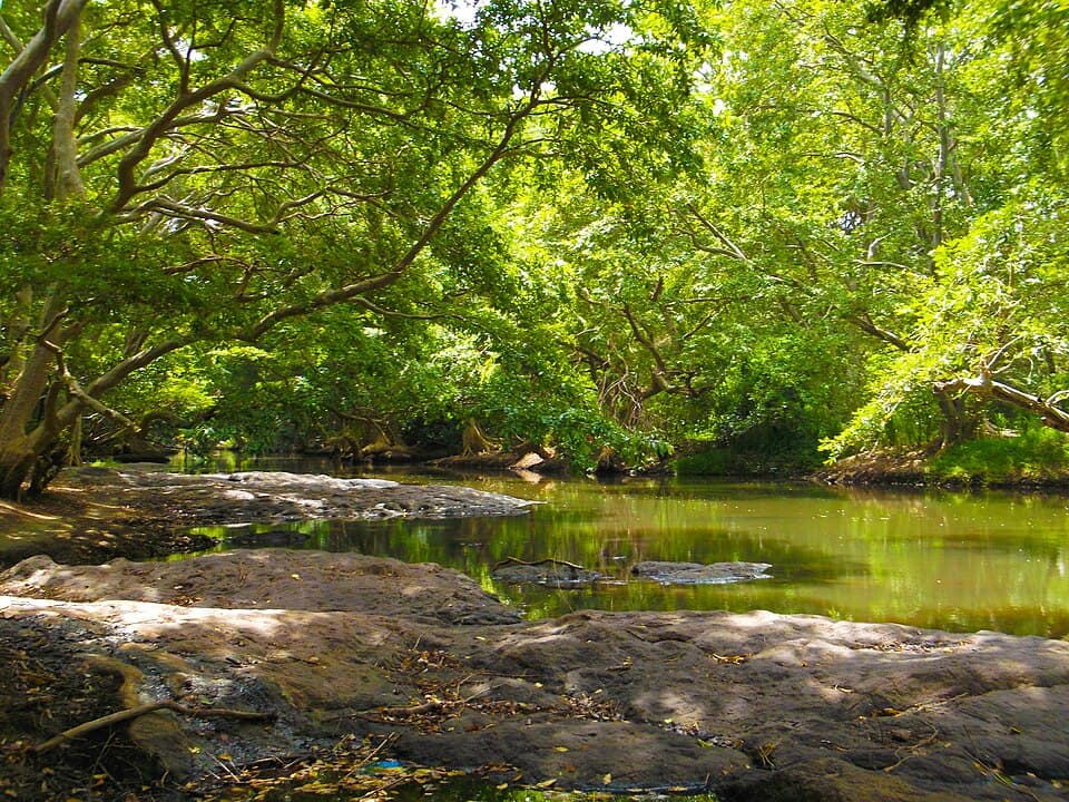 Kala Oya