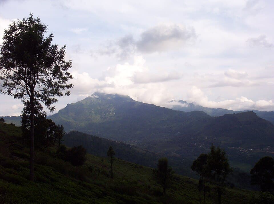 Namunukula