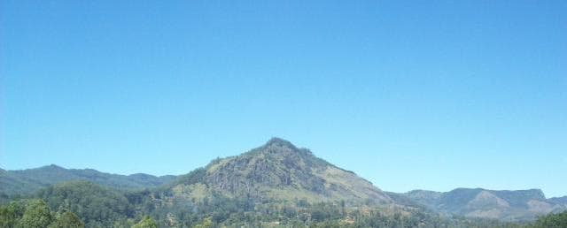 Ohiya