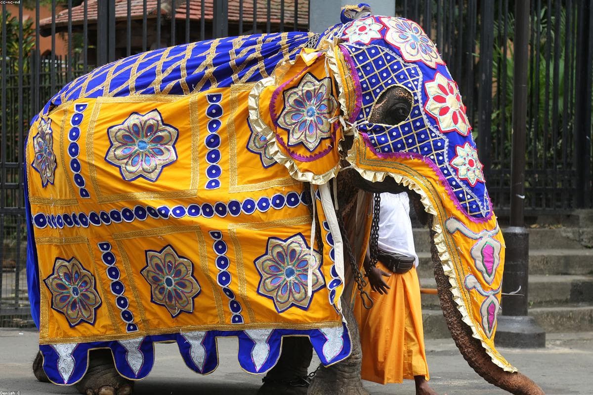 Взгляд фотографа: запечатлеть красоту агротехнологического парка Батата