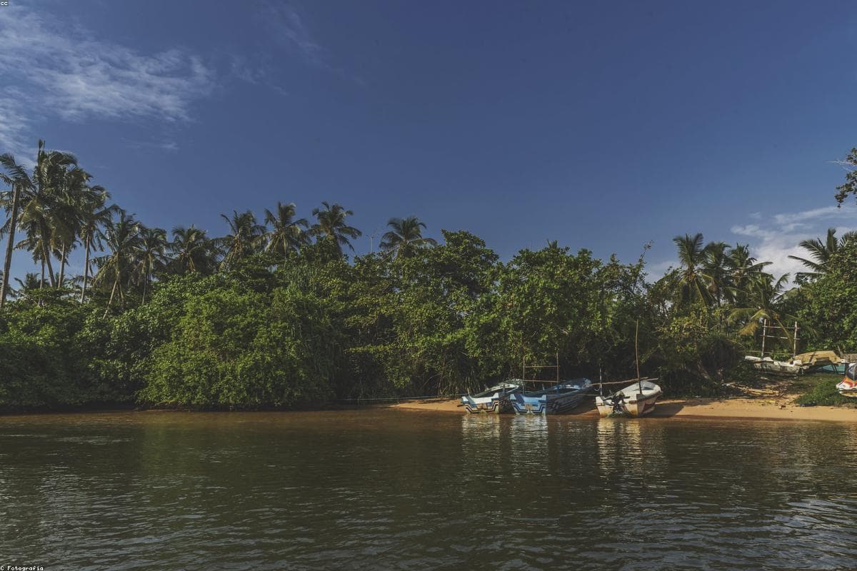 A photographer's perspective: Capturing the beauty of Lunugamvehera National Park