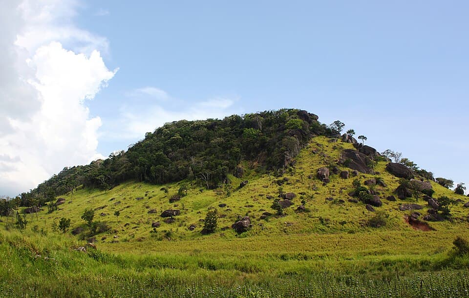 मदुरू ओया राष्ट्रीय उद्यान