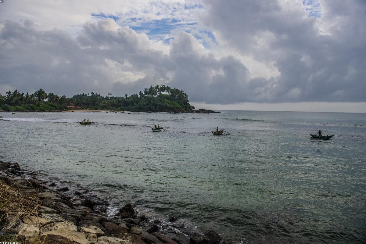 10 Reasons why Adam's Bridge Marine National Park should be on your bucket list
