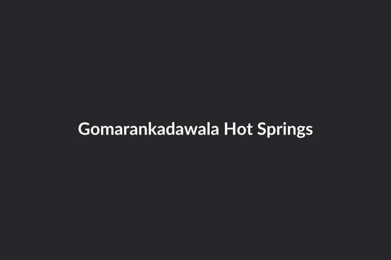 Gomarankadawala Hot Springs