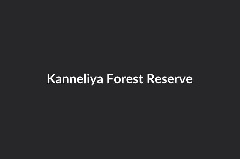 Kanneliya Forest Reserve