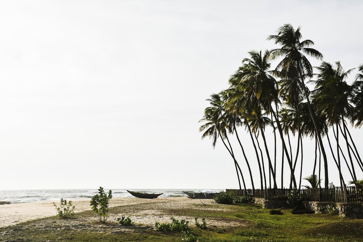 Arugam Bay Surf & Yoga Camp
