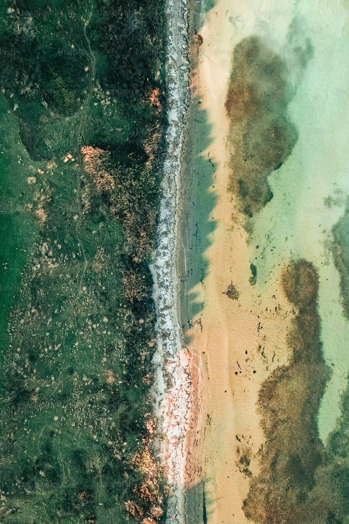 Bentota River & Sea Adventure